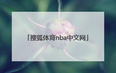 「搜狐体育nba中文网」搜狐体育直播nba中文网