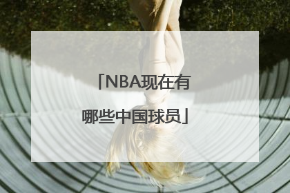 NBA现在有哪些中国球员