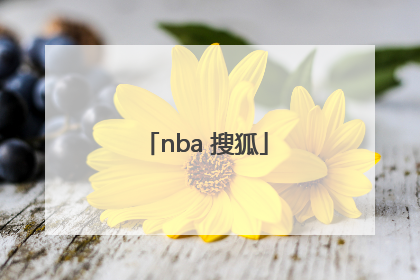「nba 搜狐」nba搜狐体育直播
